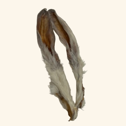 Oreille de lapin