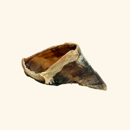 Sabot de boeuf ~100g