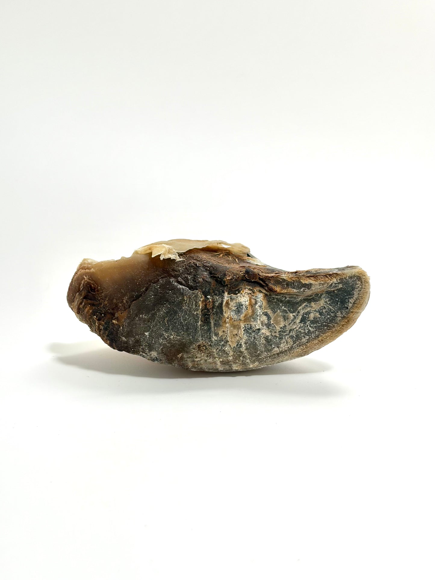 Sabot de boeuf